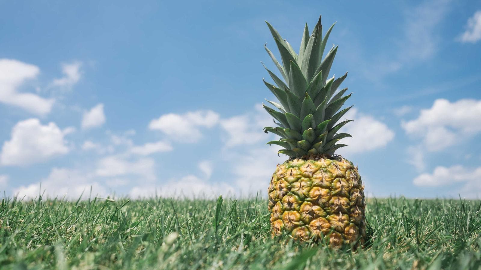 How to Choose HR and Payroll Software for a Growing Team